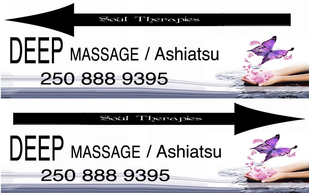 soul therapies banner ad